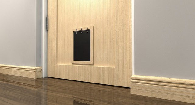 Cat Flap Installation Abbots Langley, Bedmond, WD5