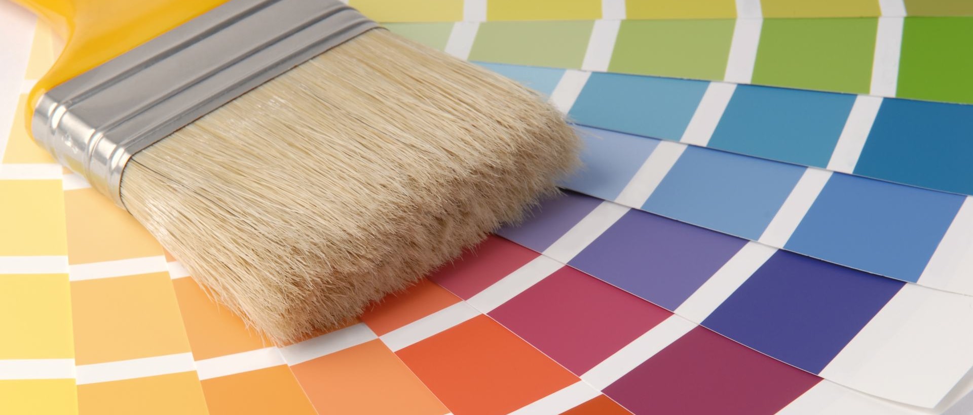 Painter WD5